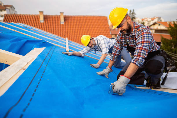 Best Roof Gutter Cleaning  in Moodys, OK