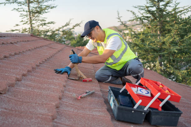 Roof Gutter Cleaning in Moodys, OK